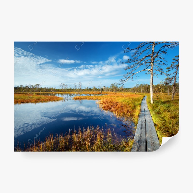 Natur – Wallnifity®