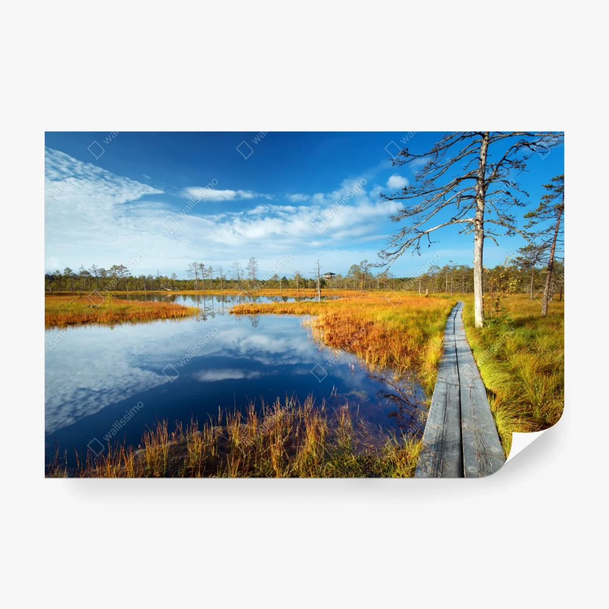 Fototapete herbststeg über ruhigem moor – Wallnifity® Fototapete herbststeg über ruhigem moor – Wallnifity®