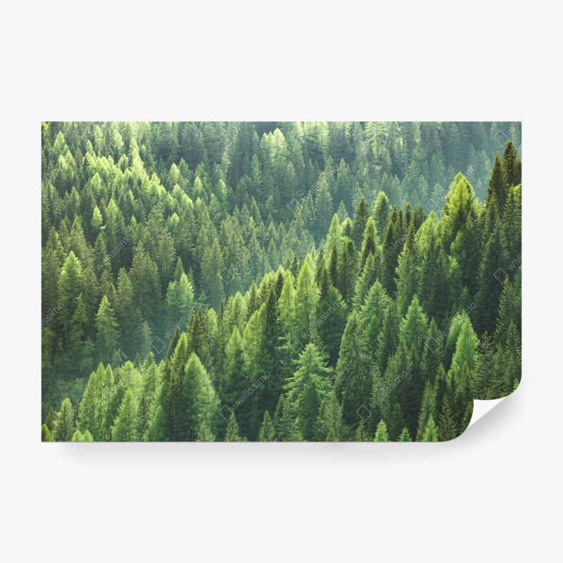 Natur – Wallnifity®
