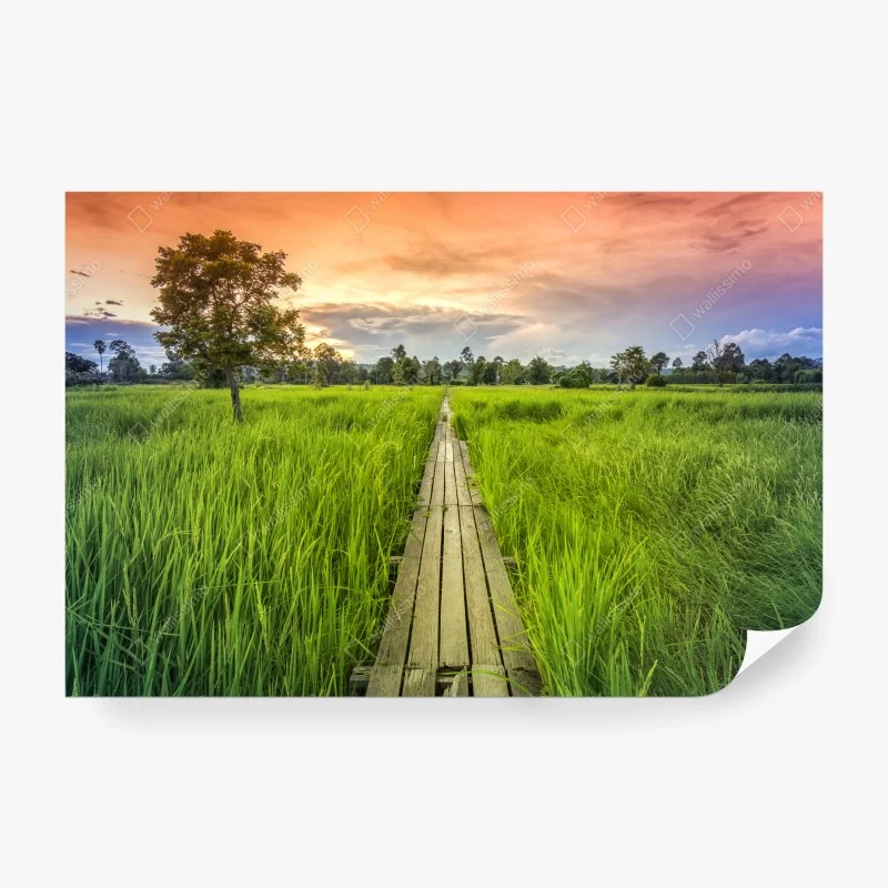 Fototapete – Wallnifity®