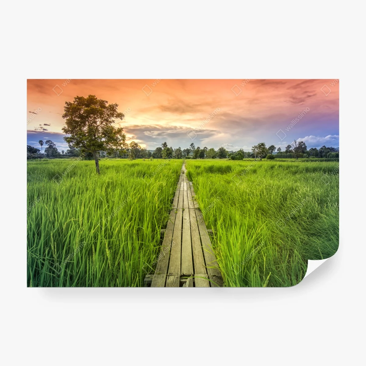 Fototapete sonnenuntergang über einer hölzernen brücke in Khonburi – Wallnifity® Fototapete sonnenuntergang über einer hölzernen brücke in Khonburi – Wallnifity®