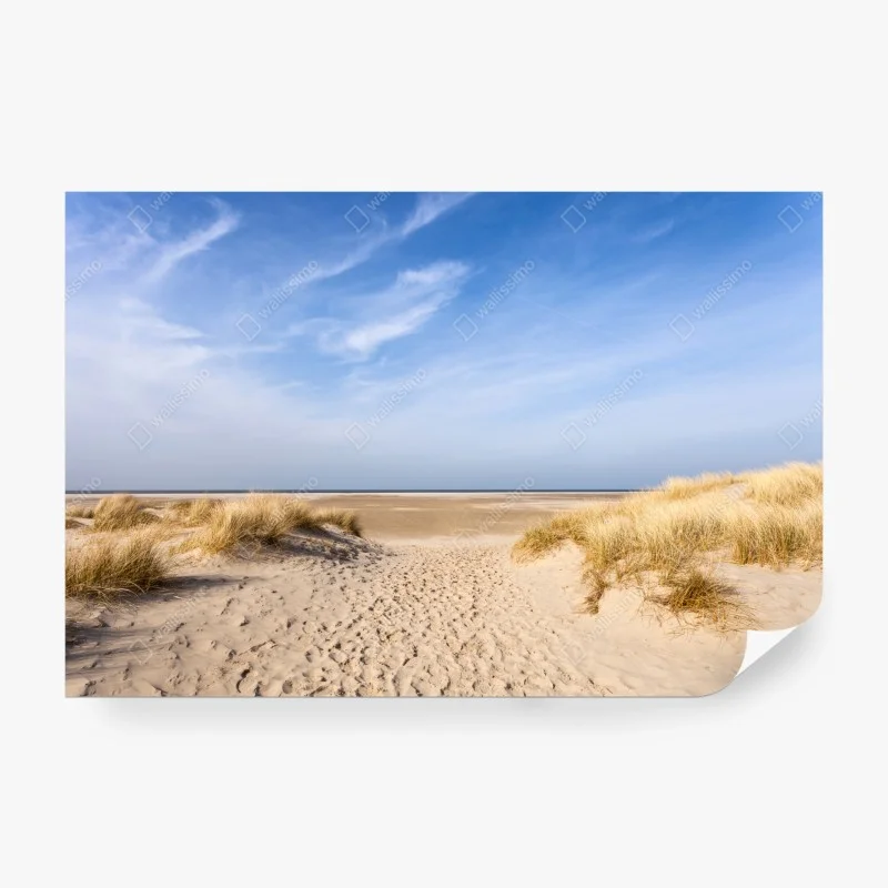 Skandinavisch – Wallnifity®