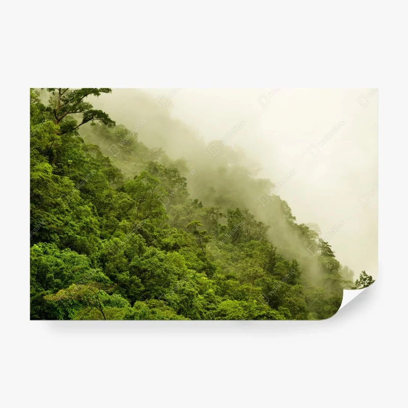 Dschungel – Wallnifity®