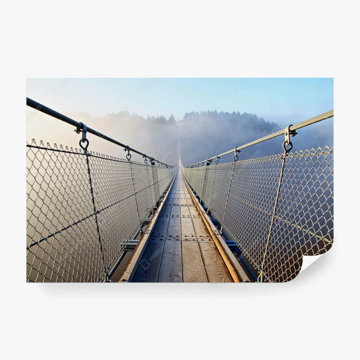 Fototapete neblige hängebrücke, die in den wald führt – Wallnifity®