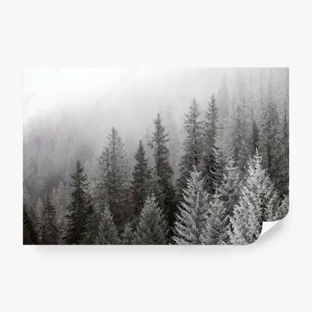 Fototapete nebliger winterwald in den Karpaten – Wallnifity®