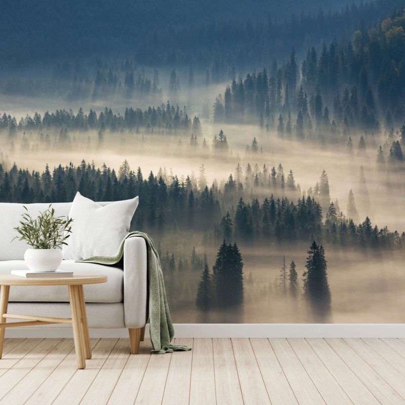 Fototapeten – Wallnifity®