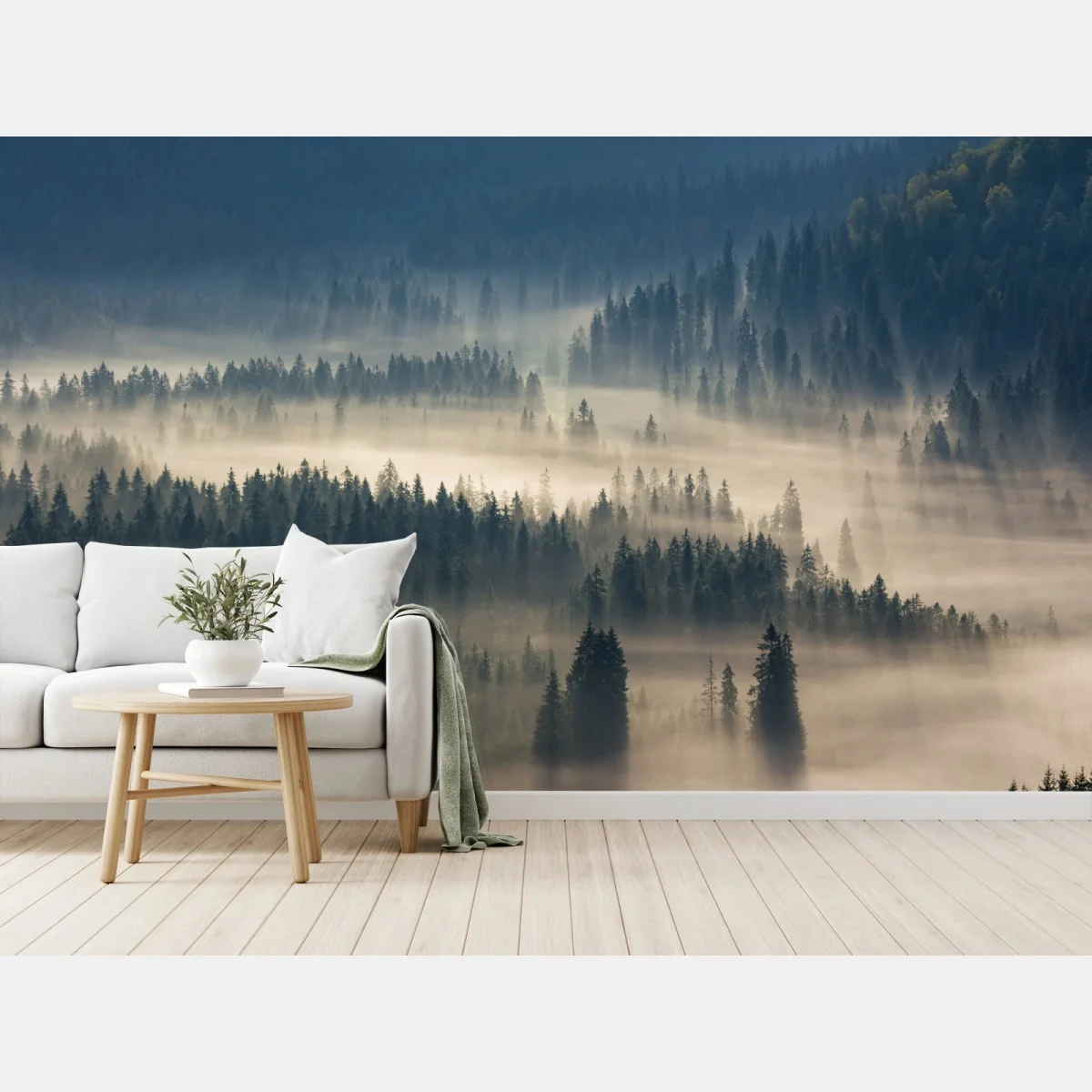 Fototapete nebliger nadelwald im morgengrauen – Wallnifity® Fototapete nebliger nadelwald im morgengrauen – Wallnifity®