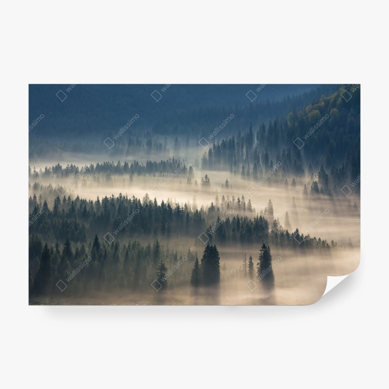 Fototapeten – Wallnifity®