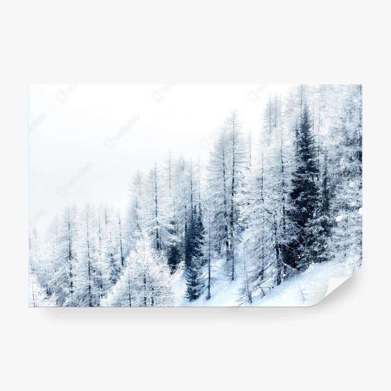 Natur – Wallnifity®