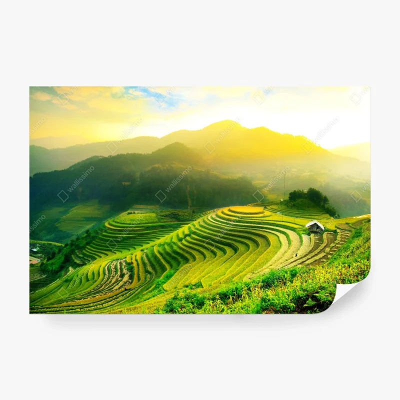 Natur – Wallnifity®