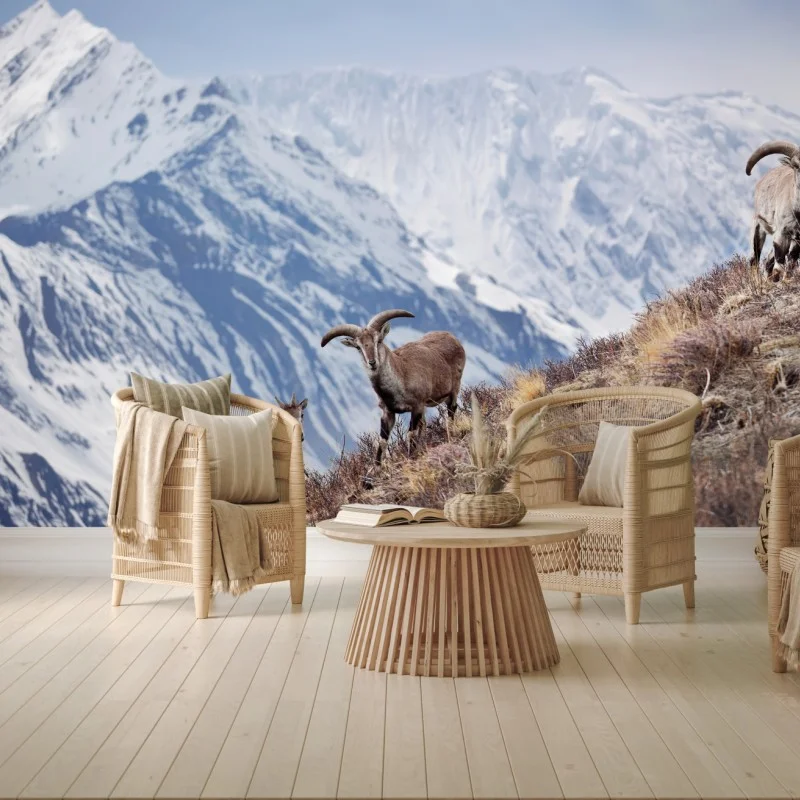 Natur – Wallnifity®