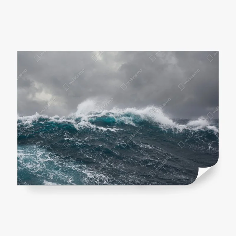 Meere & Ozeane – Wallnifity®