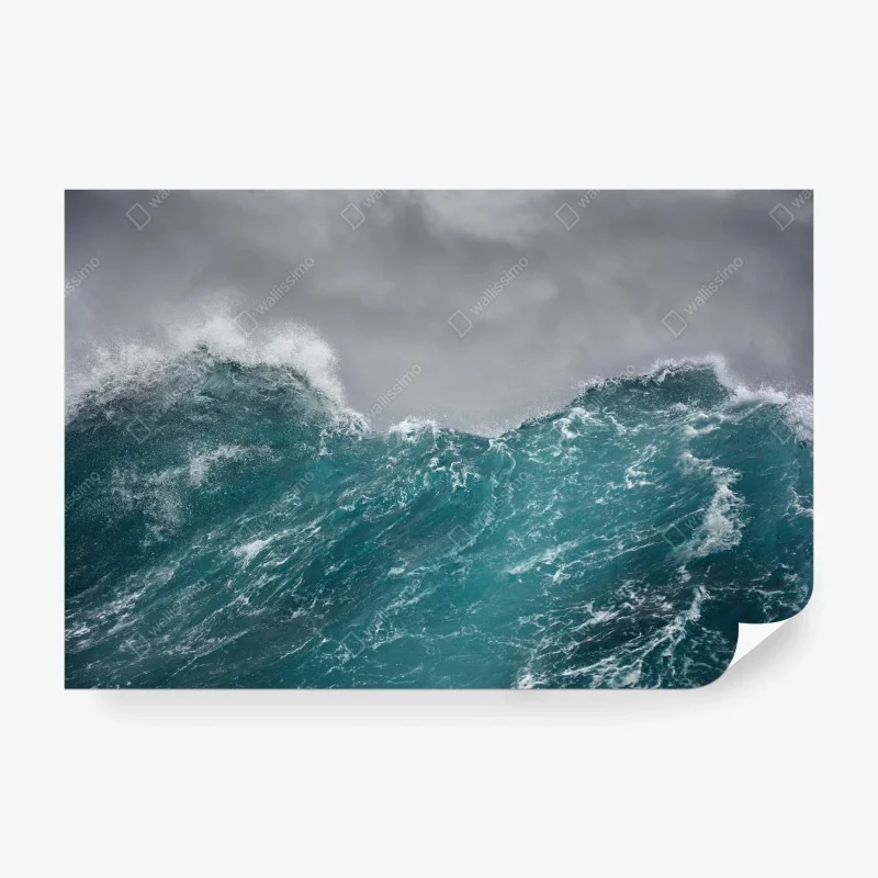 Meere & Ozeane – Wallnifity®