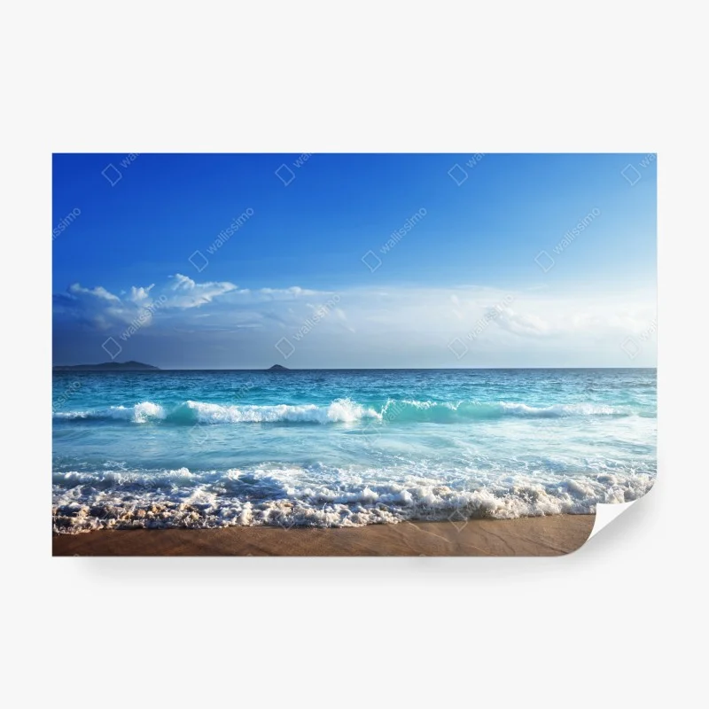 Strand – Wallnifity®