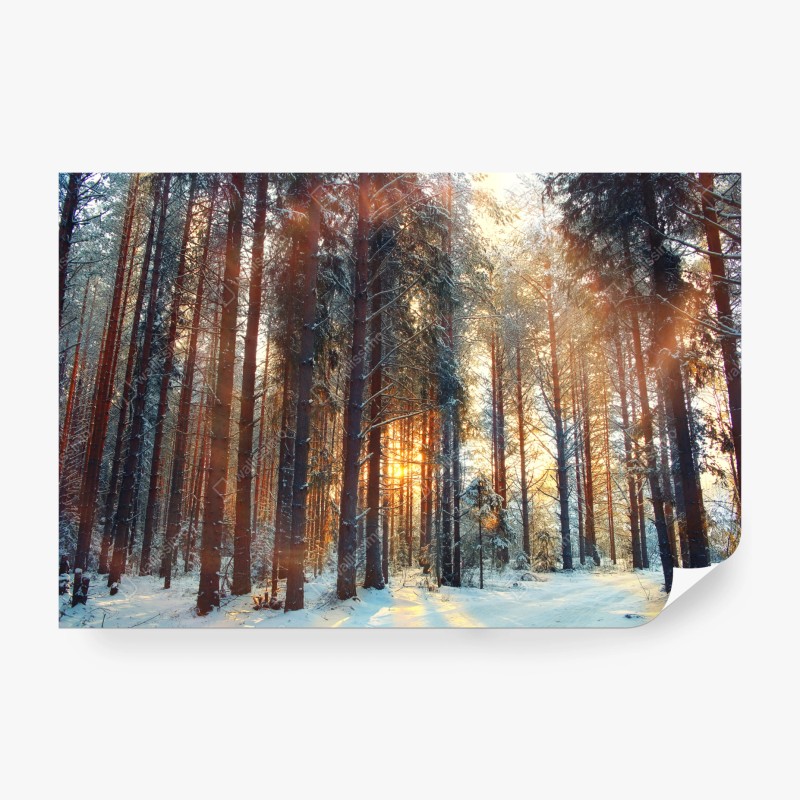 Natur – Wallnifity®