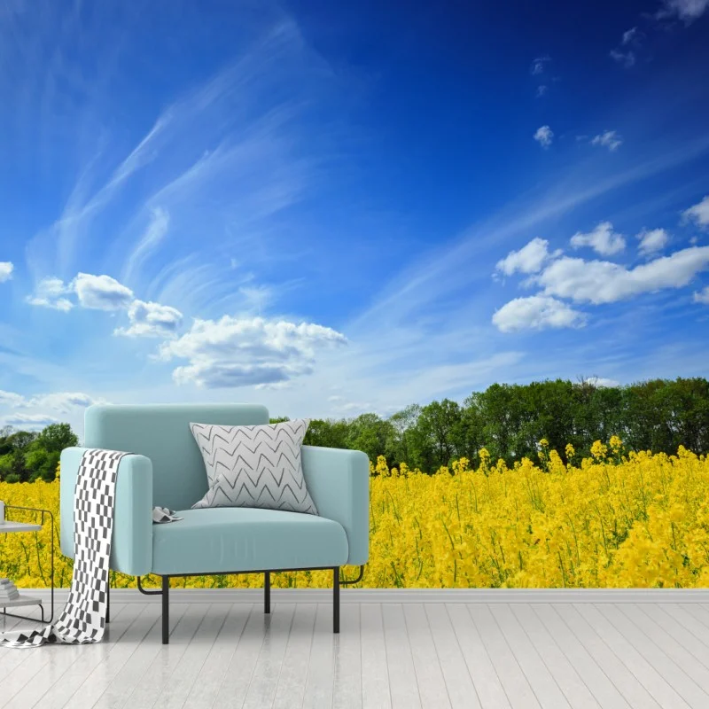 Landschaften – Wallnifity®