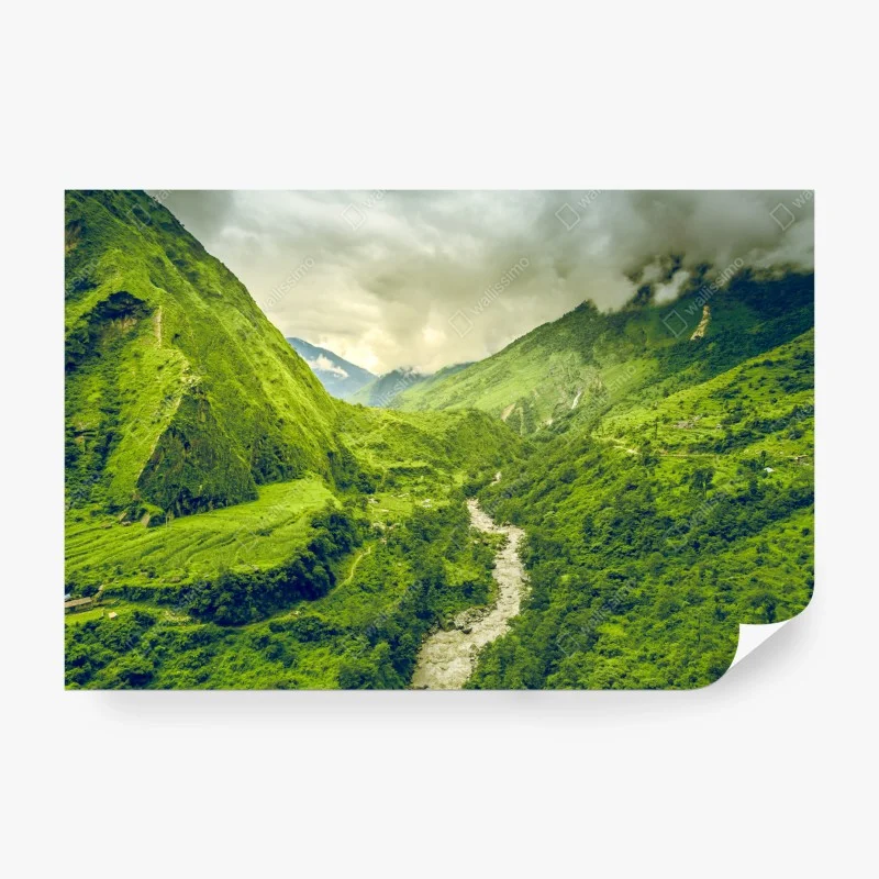 Fototapeten – Wallnifity®