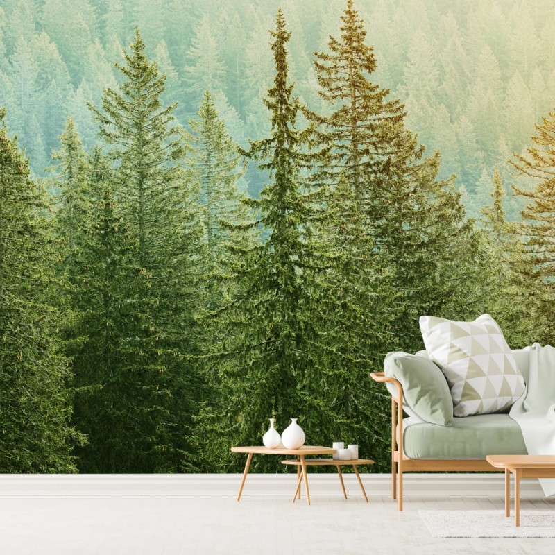 Fototapeten – Wallnifity®