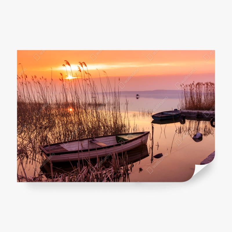 Fototapeten – Wallnifity®