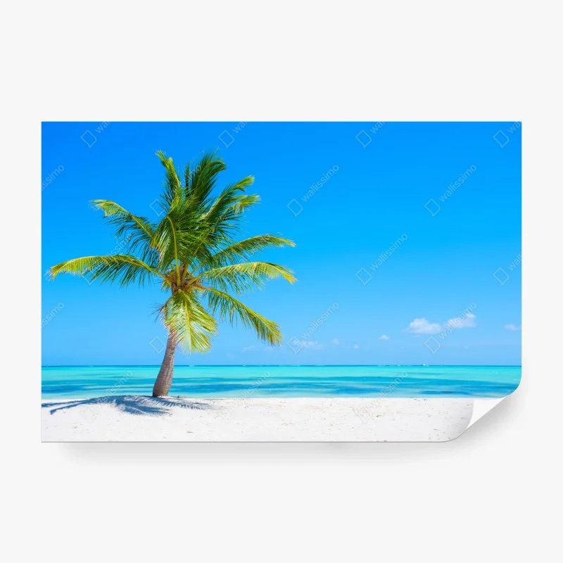 Strand – Wallnifity®