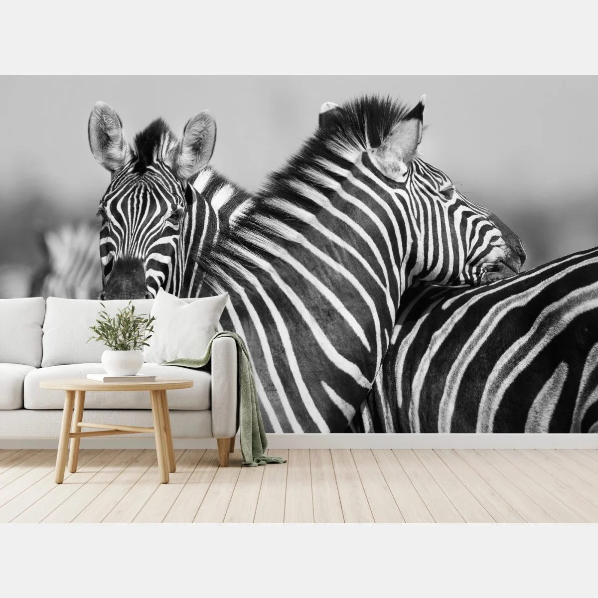 Fototapete verschlungene zebras in monochrom – Wallnifity® Fototapete verschlungene zebras in monochrom – Wallnifity®