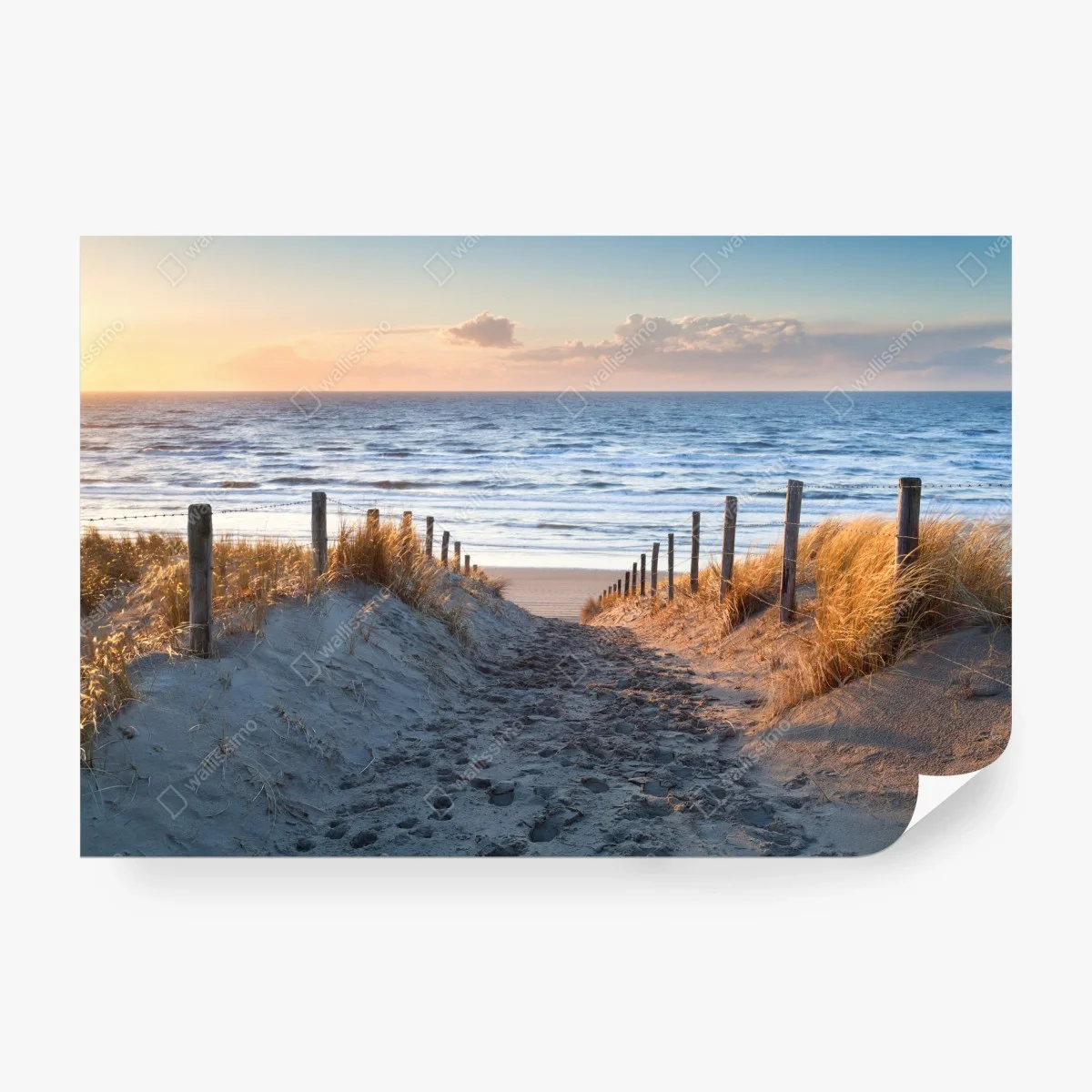 Fototapete sonnenuntergangspfad zur Nordsee, Holland – Wallnifity®