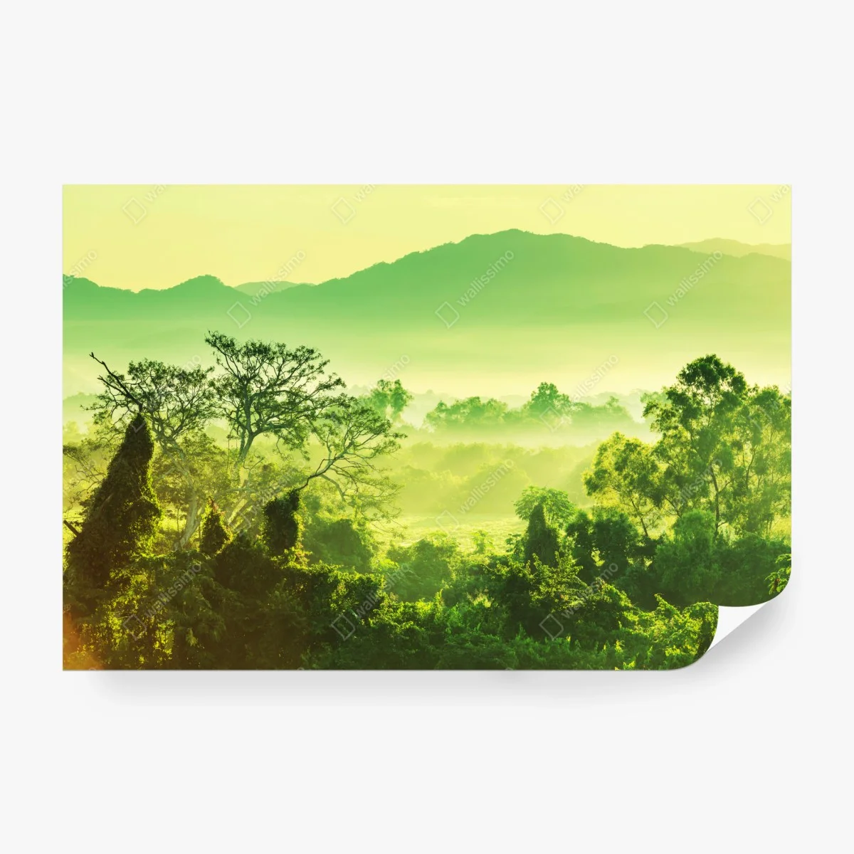 Fototapete üppige tropische dschungellandschaft – Wallnifity®