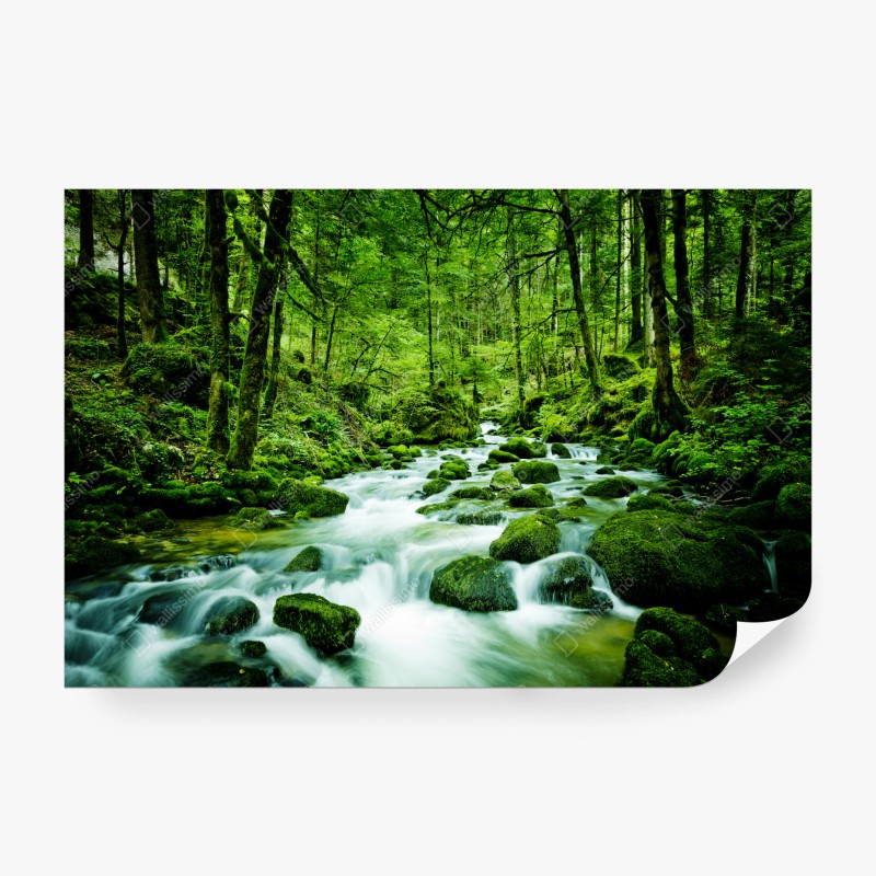 Fototapeten – Wallnifity®