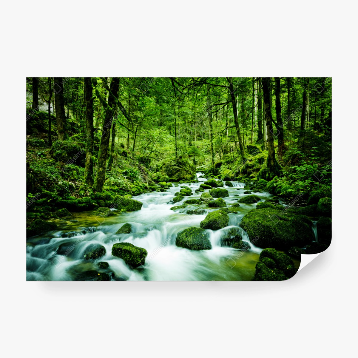 Fototapete moosbedeckter waldbach – Wallnifity®
