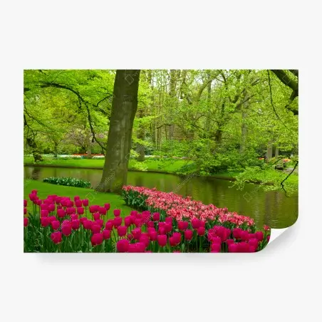 Fototapete frühlings-tulpengarten am kanal – Wallnifity®