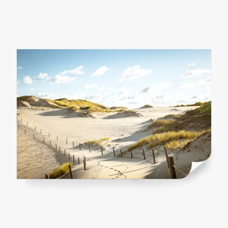 Strand – Wallnifity®