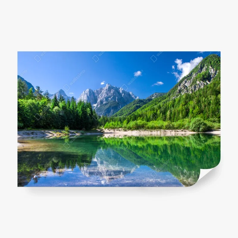 Fototapete – Wallnifity®