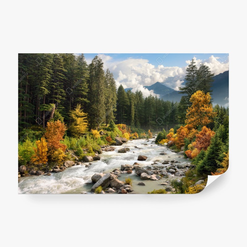 Fototapeten – Wallnifity®