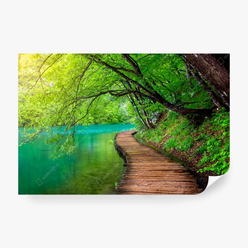 Fototapeten – Wallnifity®