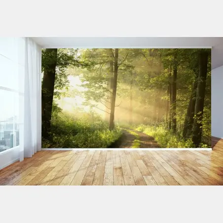 Fototapete morgendliches licht im wald – Wallnifity®