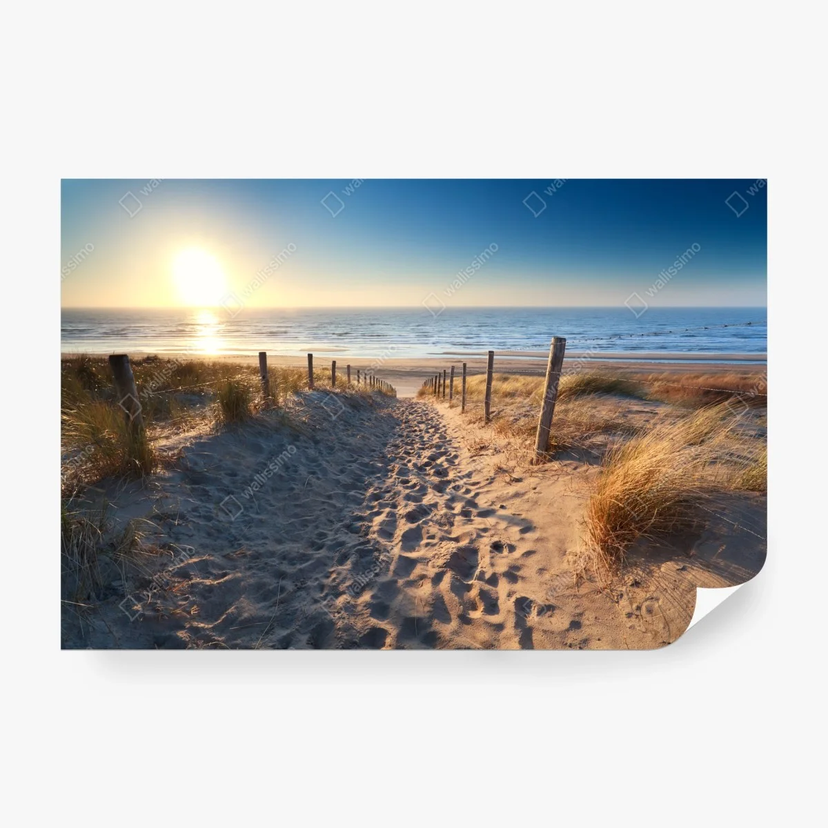 Fototapete sonnenuntergangspfad zum meer in Zandvoort – Wallnifity®