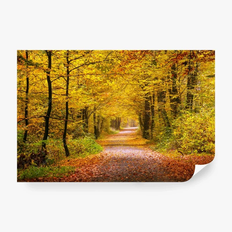 Natur – Wallnifity®
