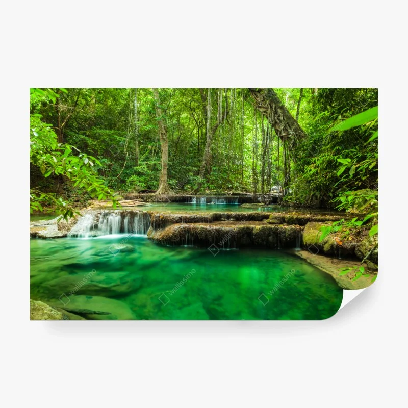 Natur – Wallnifity®