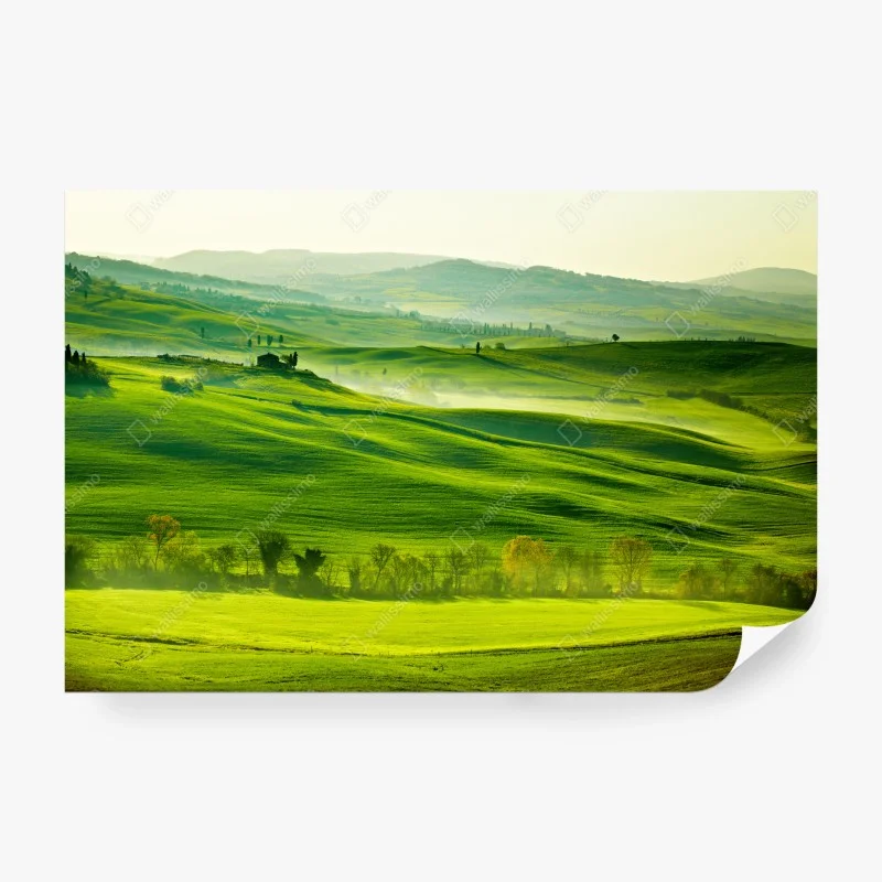 Landschaften – Wallnifity®