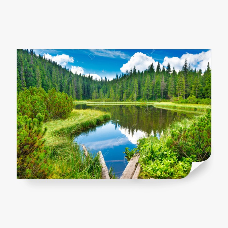 Natur – Wallnifity®