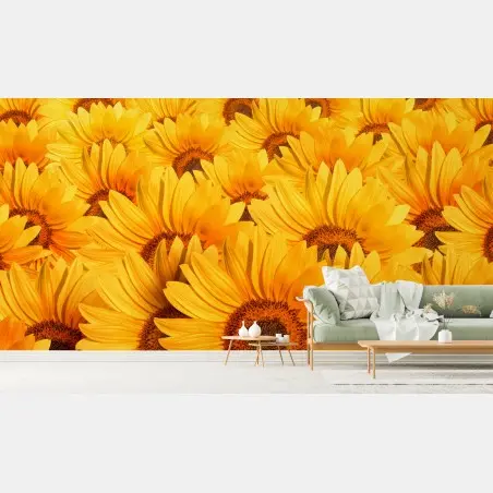 Fototapete goldenes sonnenblumenfeld – Wallnifity®