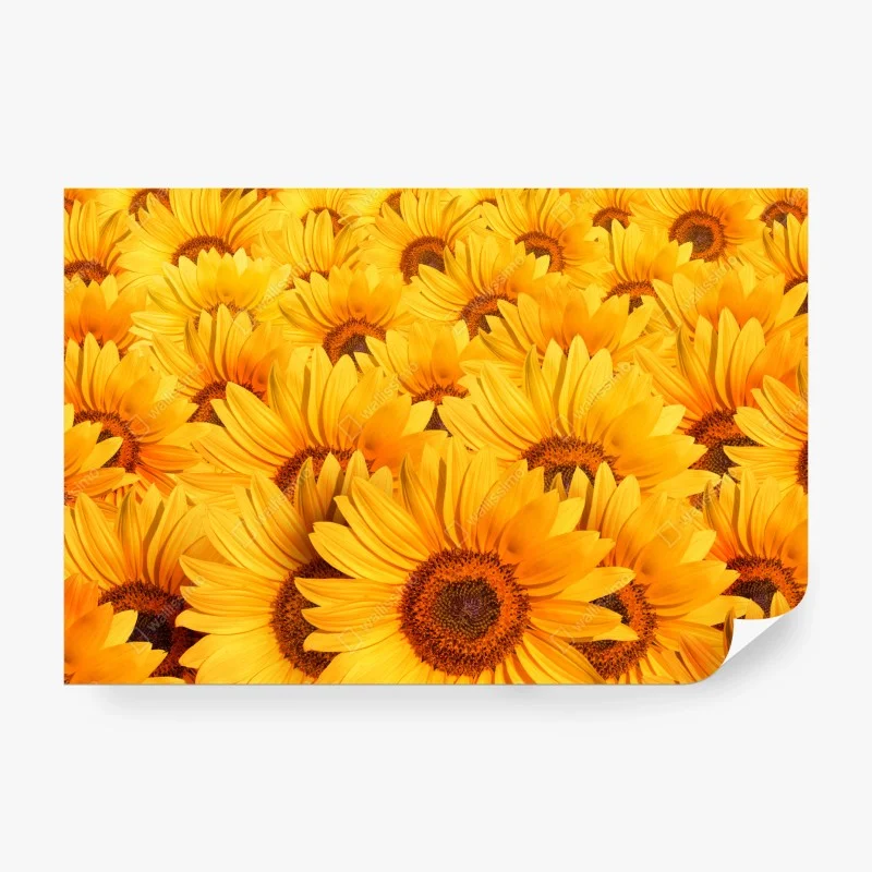 Blumen & Pflanzen – Wallnifity®