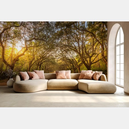Fototapete sonnenbeschienene eichenallee bei Savannah – Wallnifity®
