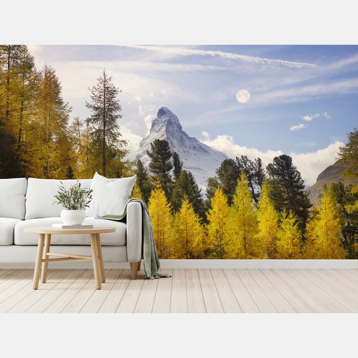 Fototapete goldene lärchen und Matterhorn – Wallnifity®