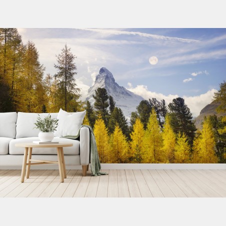 Fototapete goldene lärchen und Matterhorn – Wallnifity®