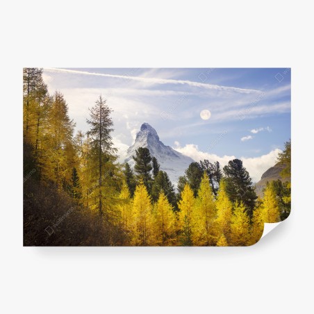 Fototapete goldene lärchen und Matterhorn – Wallnifity®