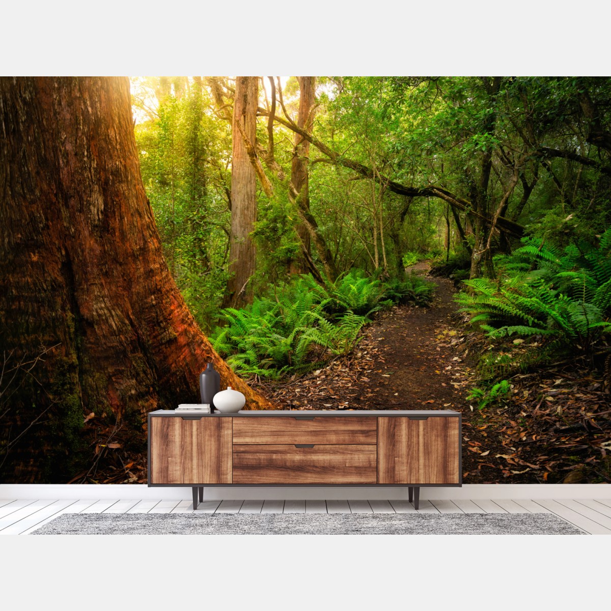 Fototapete urwaldpfad in Tasmanien – Wallnifity®