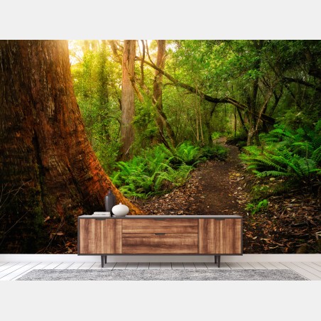 Fototapete urwaldpfad in Tasmanien – Wallnifity®
