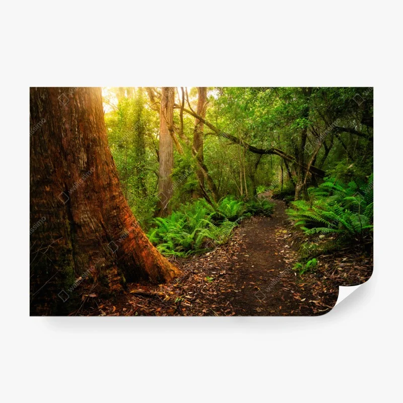 Dschungel – Wallnifity®