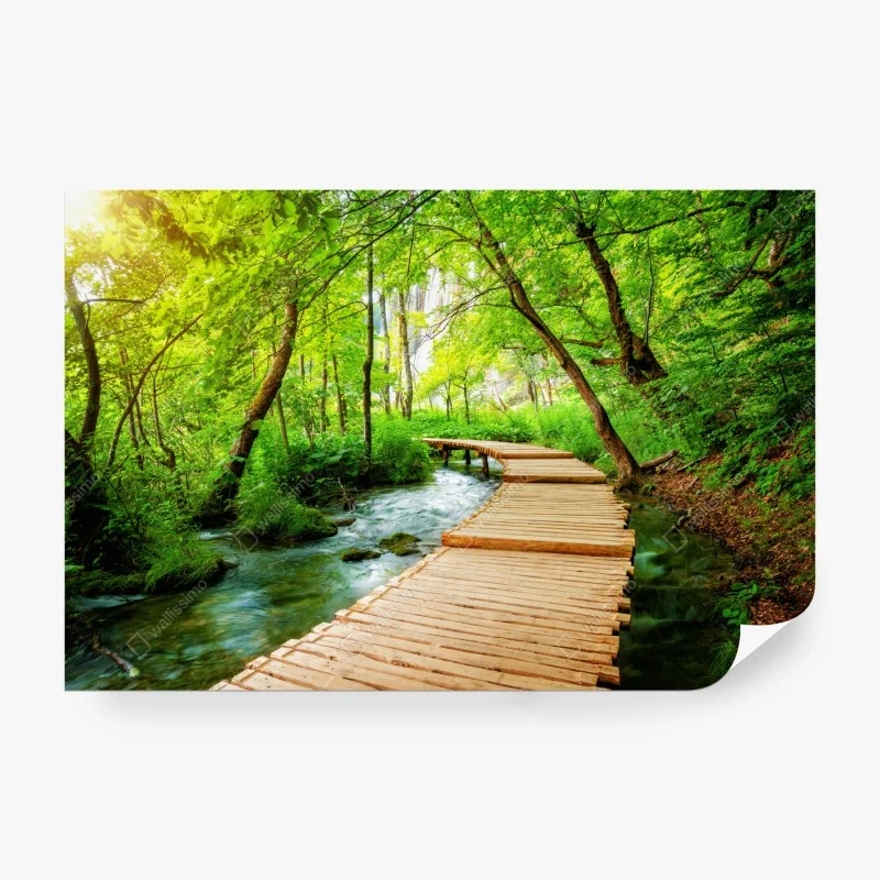 Wasserfälle – Wallnifity®